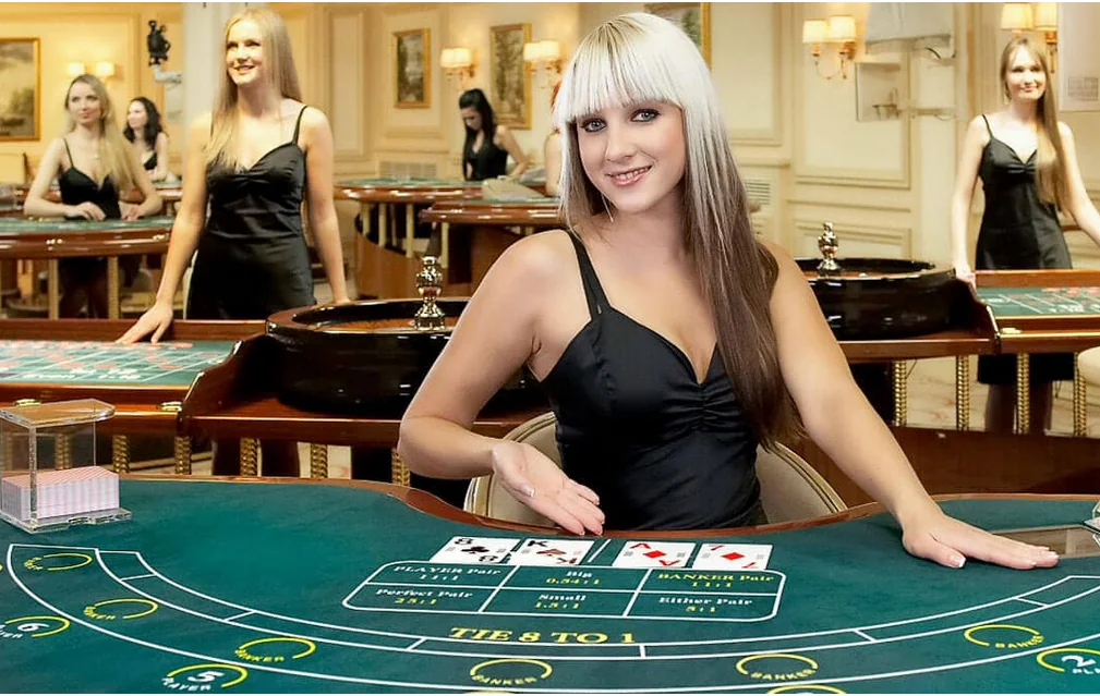 Antarmuka kamera dealer dan panel taruhan kasino live
